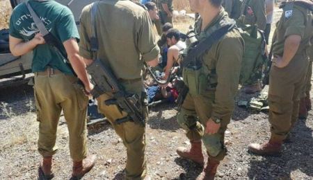 مقتل ضابط إسرائيلي واحتراق كلب عسكري خلال اشتباكات جنين