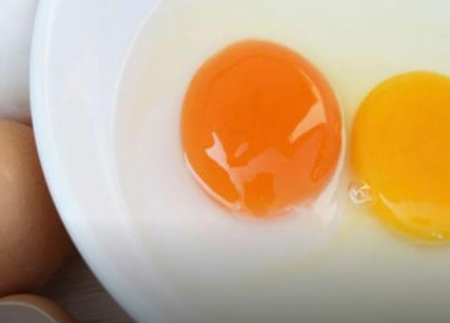 ما الفرق بين صفار البيض الاصفر والبرتقالي